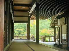 -天龙寺