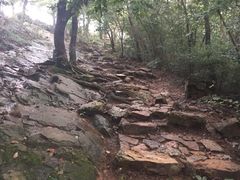 -紫金山天文台