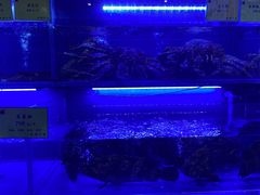 -鹊华居·地道鲁菜·海鲜·融合味(大明湖店)