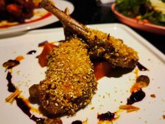 -百好乐宠物友好餐厅(朝外大街店)