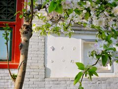 -海棠花溪(元大都城垣遗址公园)