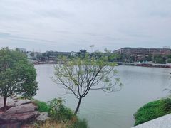 -八大山人梅湖景区