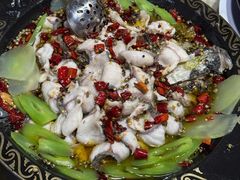 -金三可市井水煮鱼(金碧园店)