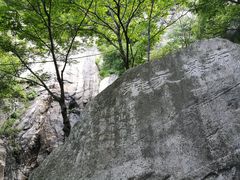 -王顺山国家森林公园