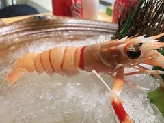 刺身拼盘-割烹旭日本料理(龙湖狮山天街店)