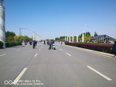 -丁香湖公园