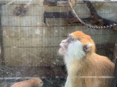 -昆明动物园