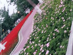 -眉山湿地公园(东坡区)
