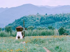 -溪口-滕头旅游景区