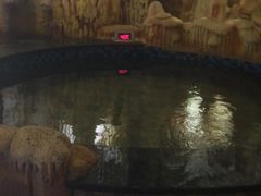 -沈阳龙润夏宫温泉水乐园