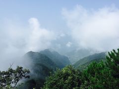 -塔云山