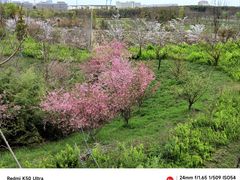 -广富林郊野公园