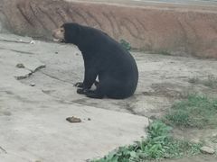 -临沂动植物园