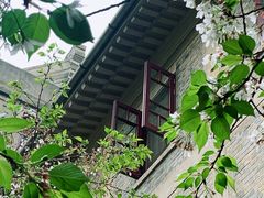 -武汉大学-樱园