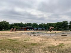 -鹅湖玫瑰文化园