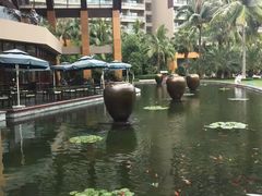 -三亚湾海居铂尔曼度假酒店