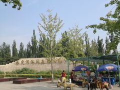 -永定河休闲森林公园