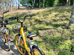 -白鹭湾湿地公园