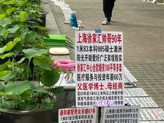 -人民公园-相亲角