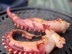 -上海山野camping·户外天幕烧烤·团建拓展营地