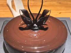 -BLACKSWAN黑天鹅(环球店)