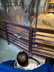 -酷嗒动物文化乐园(cutezoo西溪乐天城店)