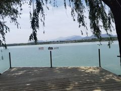 -青龙湖公园