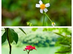 -红旗山庄(圭峰山店)