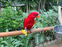 -南宫五洲植物乐园