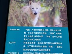 -哈尔滨极地公园