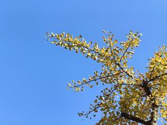 -黄兴公园