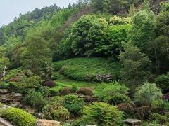 -桃花岭景区