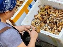 -妈妈的味道(和顺古镇店)