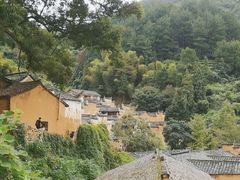 -杨家堂村