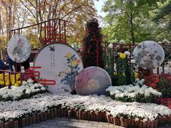 -上海共青森林公园