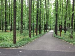 SS-上海怡沁园度假酒店