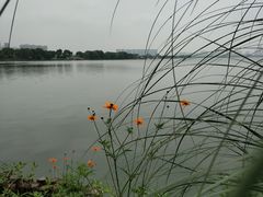 -石湖景区