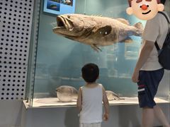 -西安曲江海洋极地公园