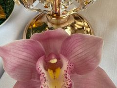 -上海和平饭店-华懋阁 The Cathay Room