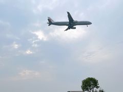 -空港花田景区