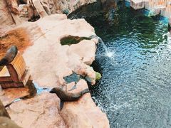 -长鹿旅游休博园