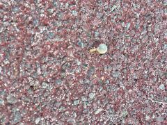 -天津东丽湖风景区