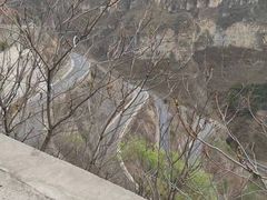 -明泽陆通汽车陪练(总店)