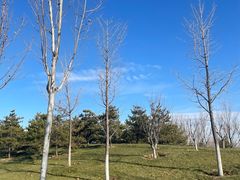 -瀛海足球主题公园