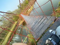 -合肥滨湖国家森林公园