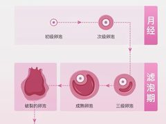 -中粮·祥云小镇