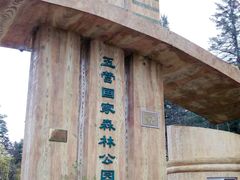 -五营红松林海景区