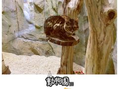 -MR.ZOO小小动物元室内动物园(沈阳沈河盛京中心)