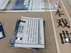 -大剧院(地铁站)