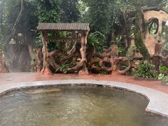 -天门沟九州驿站树上汤泉